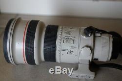 Canon Ef 300mm 2.8 L Is Usm Not Very Good For Eos And Eos R Rf