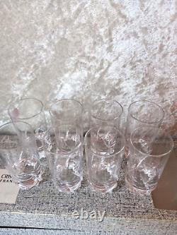 Daum, 8 Small Glasses Signed In Their Original Box Very Good Condition