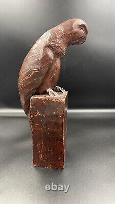 Large Terracotta Parrot Animal Sculpture Art Deco Very Good Condition