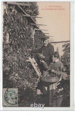 MONTREUIL peach picking in very good condition