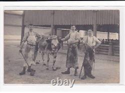 REIMS Slaughterhouses in very good condition