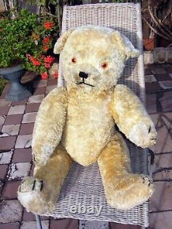 Ulisse Large Old Bear In Very Good Condition Filled With Straw Height 80 CM
