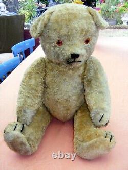 Ulisse Large Old Bear In Very Good Condition Filled With Straw Height 80 CM