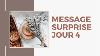 Guidance Vous Avez Un Message Surprise 4 D Cembre